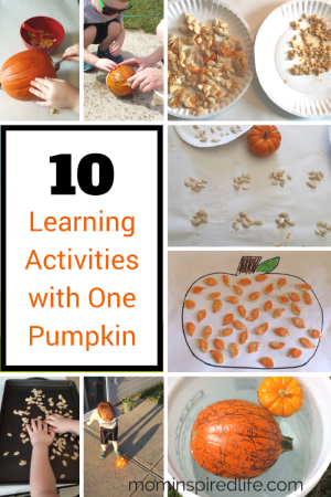 10 Pumpkin Learning Activities with One Pumpkin