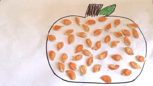 Pumpkin Seed Art