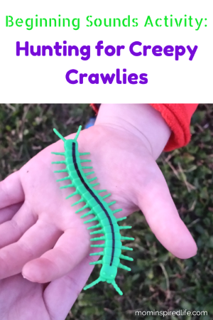 Beginning Sounds: Hunting for Creepy Crawlies #playfulpreschool