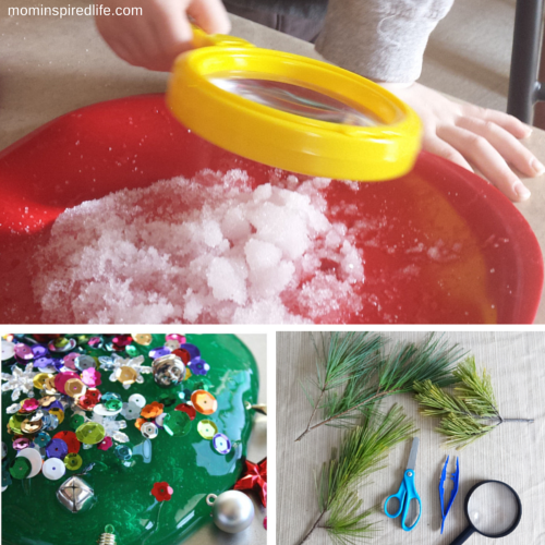 10 Christmas Science Experiments for Kids