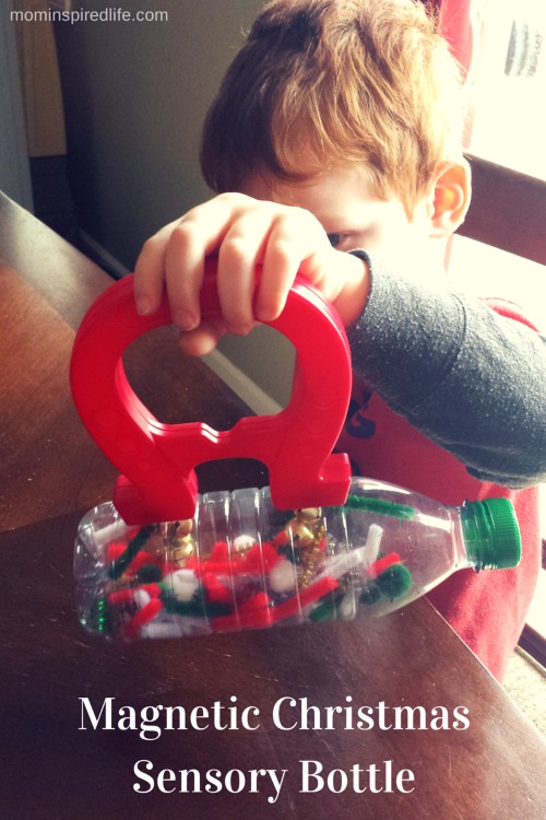 Magnetic Christmas Science and Sensory Bottle