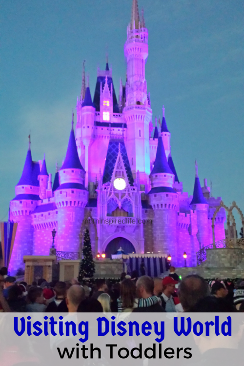 Tips for Visiting Disney World with Toddlers