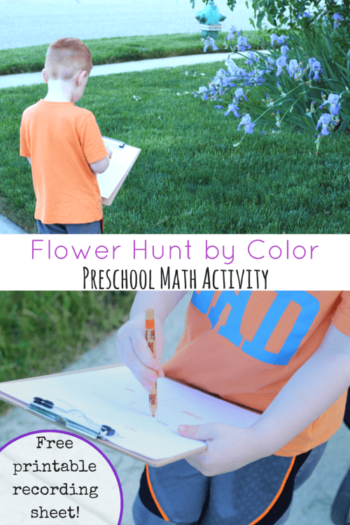 Hunt for flowers by color! A fun preschool math activity with free printable recording sheet!