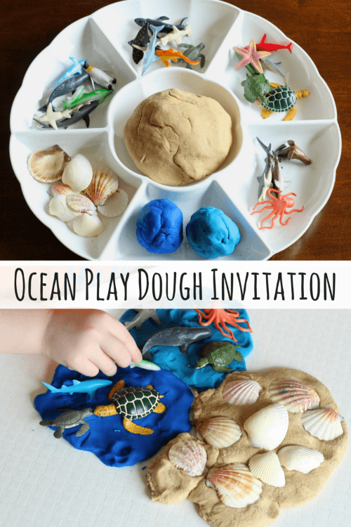 Hands-on preschool science activity to learn about the ocean habitat