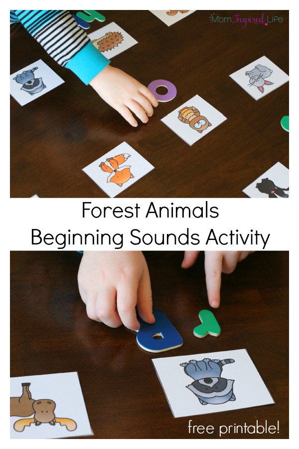 Teaching beginning sounds with a forest habitat theme activity for preschool. Learn letter sounds while exploring forest animals.