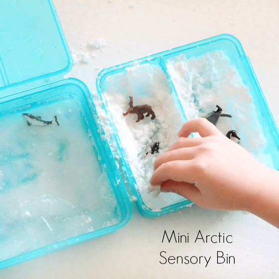 Arctic sensory bin and preschool science activity.
