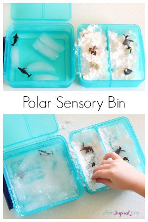 Mini Polar Sensory Bin