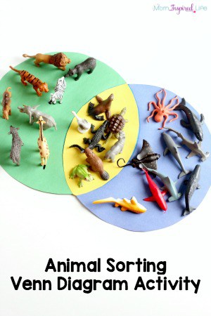 Sorting Animals Venn Diagram Activity
