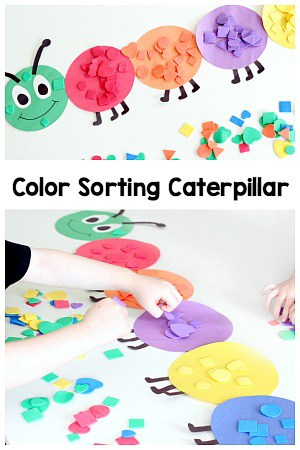Shape and Color Sorting Caterpillar