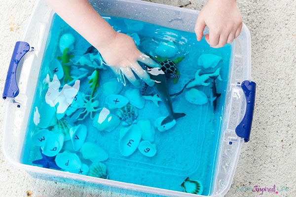 Ocean activity for kids to learn about the ocean habitat and ocean animals.