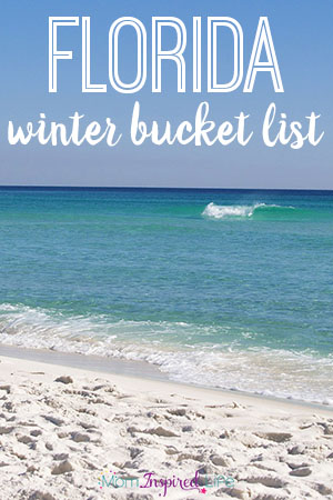 Things to Do in Florida During Winter: Florida Winter Bucket List