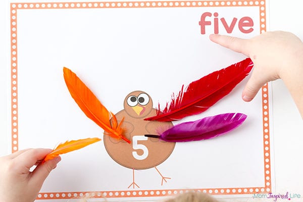 Learning to count with turkey feathers this Thanksgiving!