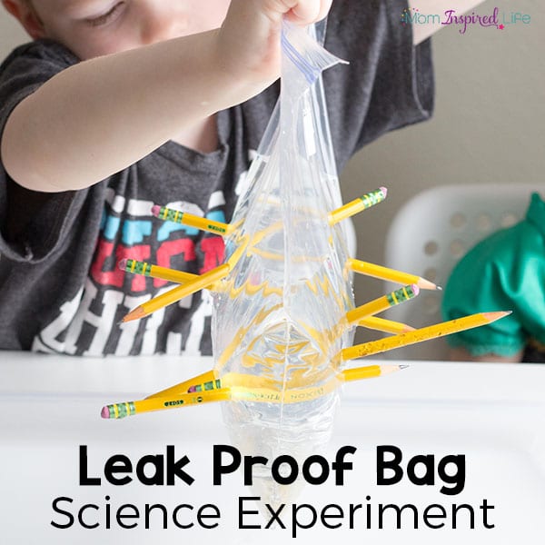 Leak proof bag science experiment.