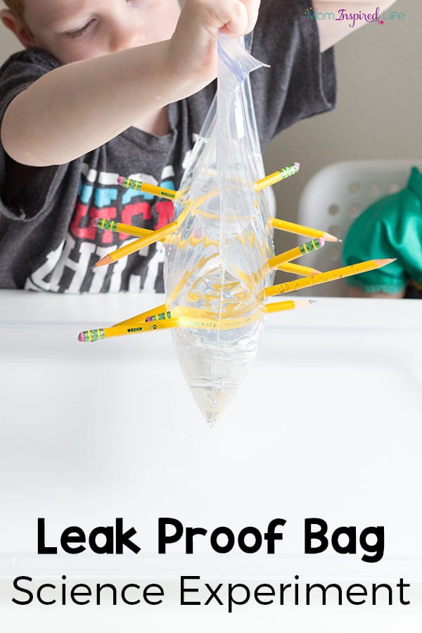 This leak proof bag science experiment is sure to WOW your kids! Great for preschool, elementary and middle school!