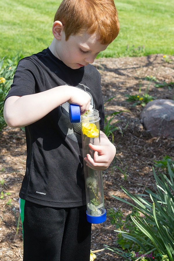 Nature walk discovery bottles for kids.