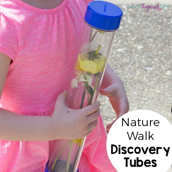 Sensory bottles with items from nature inside.