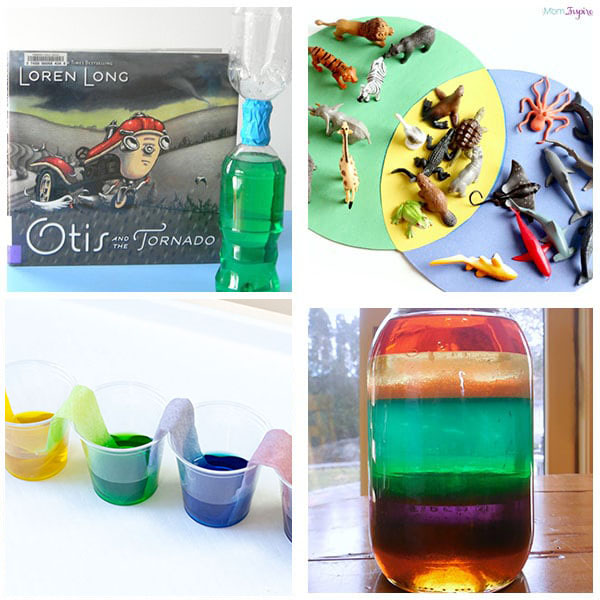Science exploration activities for young kids.