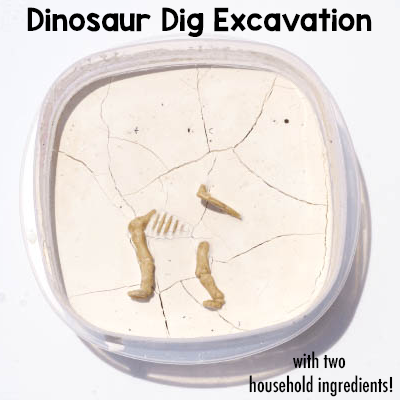 Dinosaur Dig Excavation