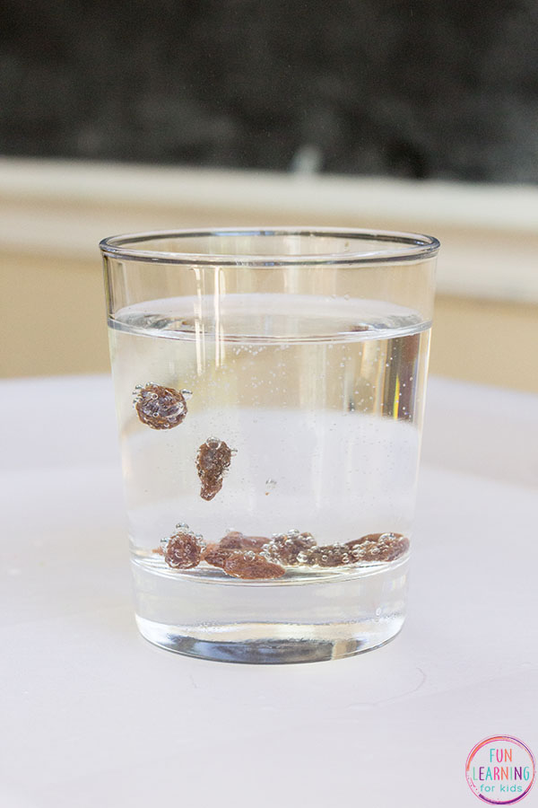 A preschool science experiment that's super easy to do.
