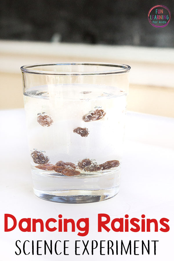 This simple dancing raisins science experiment is super simple and so much fun! It comes with free printable science recording sheets too! 