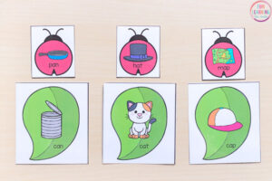 Ladybug rhyming activity for literacy centers.