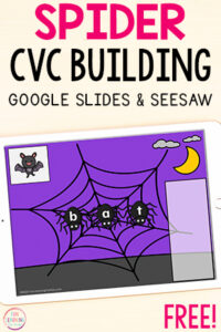 Spider theme CVC activity.