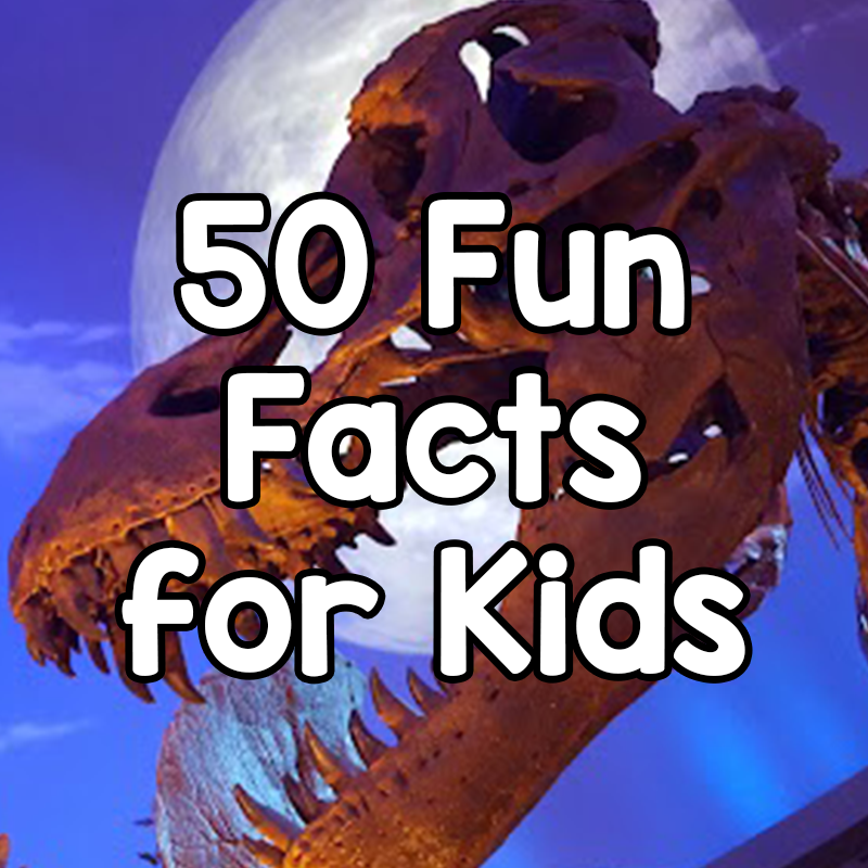 50 Fun Facts - Dino