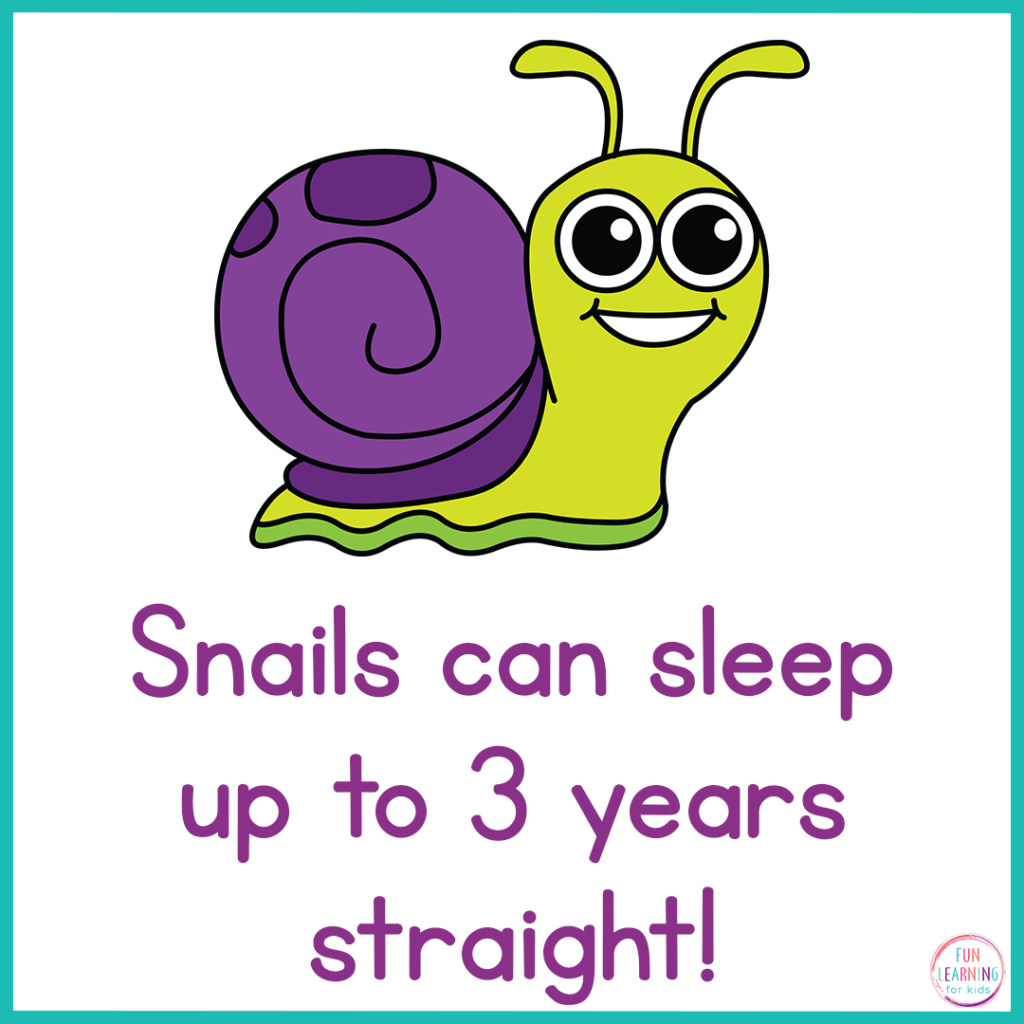 Snail Fact