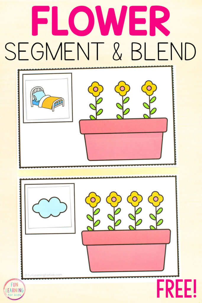 Flower phoneme segmentation activity for hands-on practice with phonics and phonemic awareness this spring.