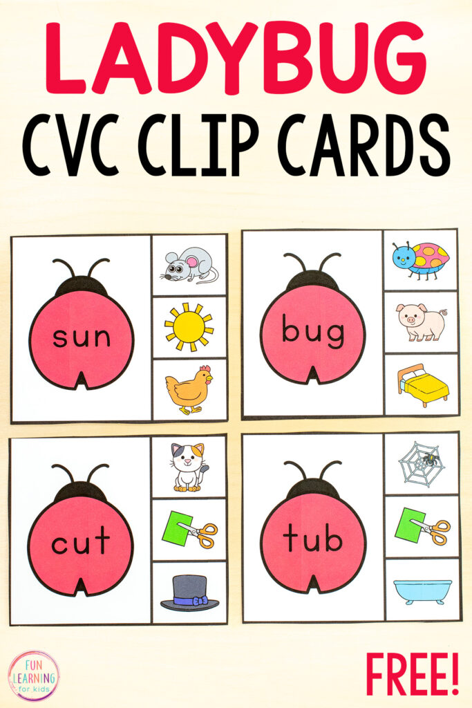Ladybug theme CVC words activity for hands-on practice with blending phonemes to read CVC words.
