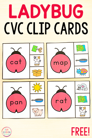 Ladybug CVC Clip Cards for Spring