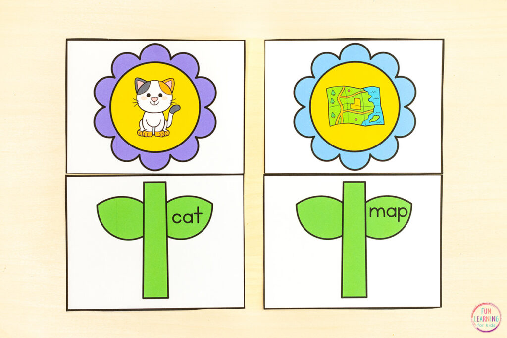 Flower theme CVC activity for phonics practice with blending and segmenting phonemes to read and spell CVC words.