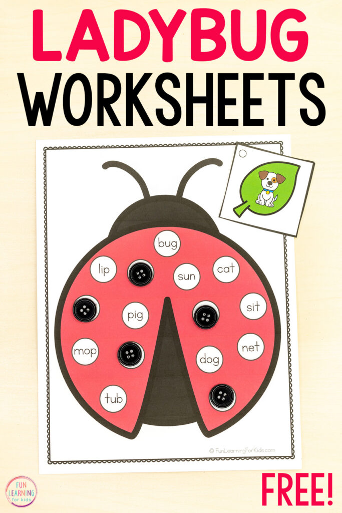 Ladybug CVC find and color the word phonics activity for learning to read CVC words.