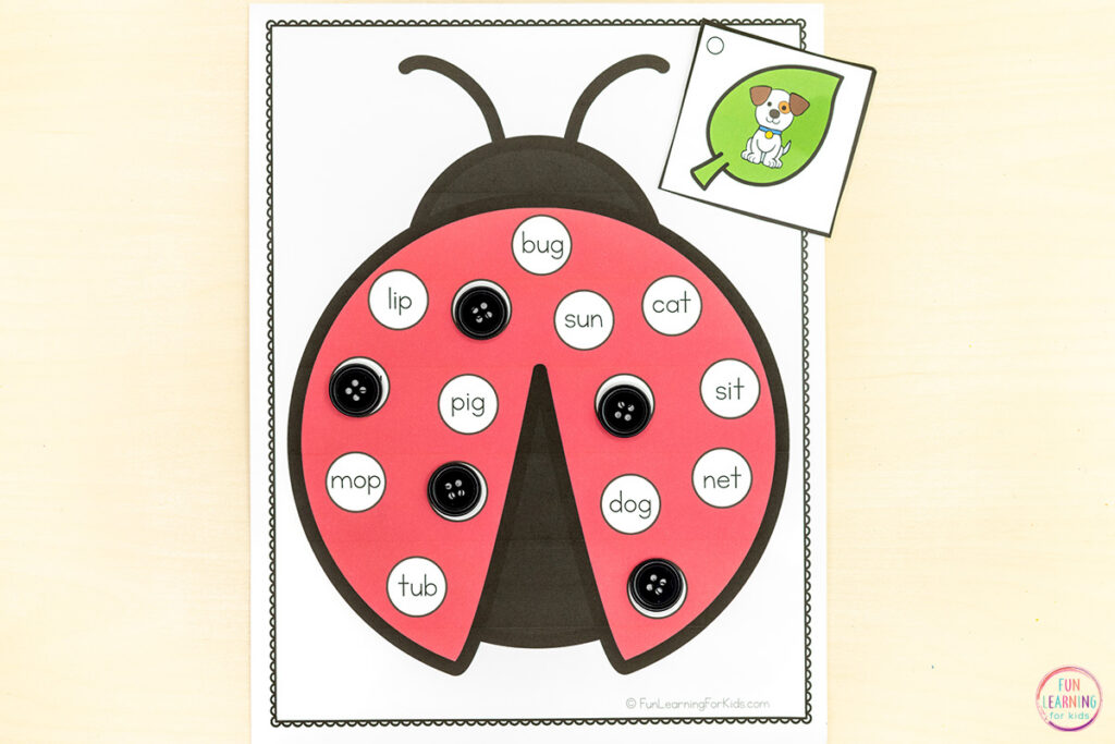 Ladybug literacy activity for CVC reading instruction in kindergarten.